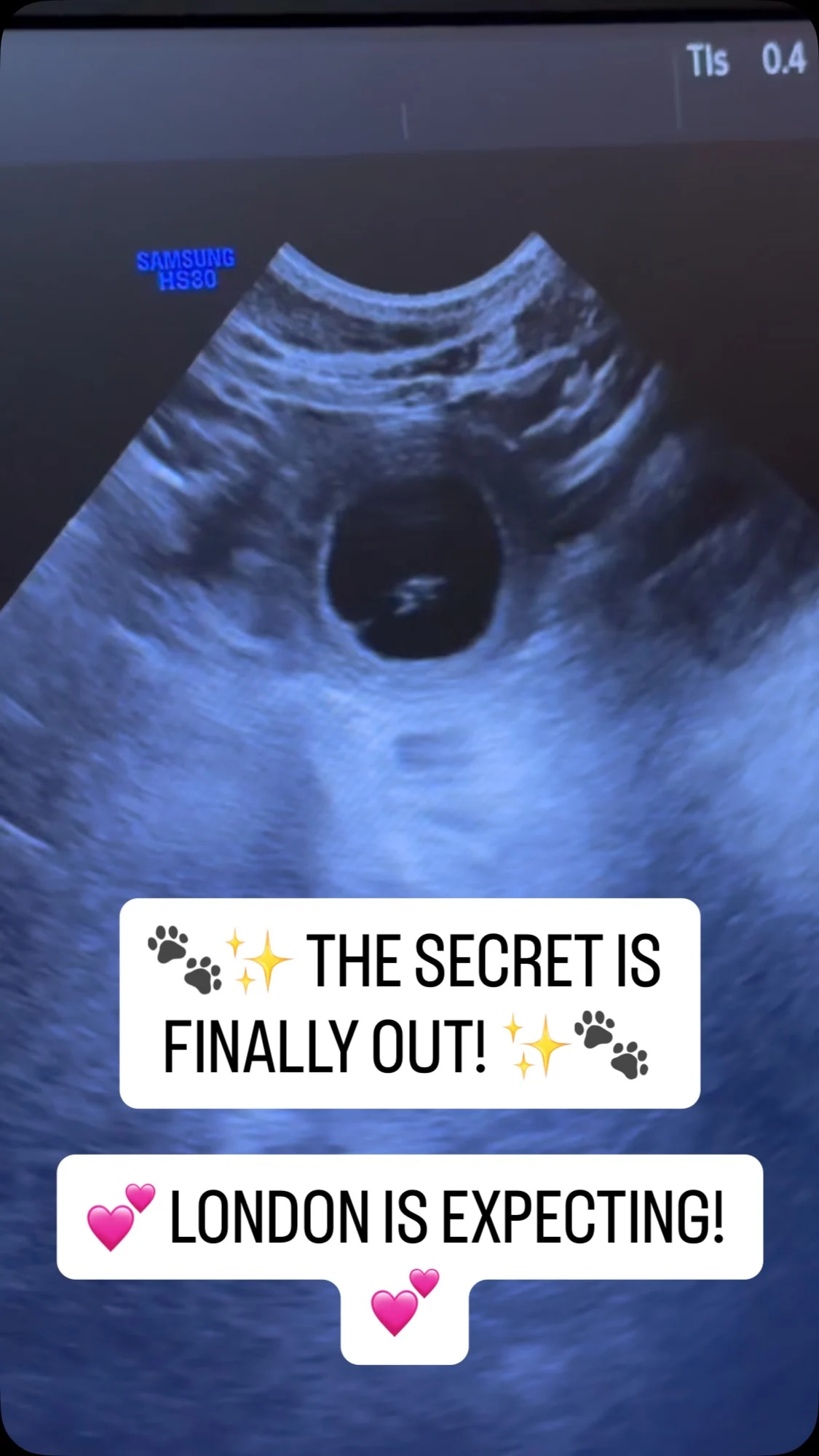 Instagram post: “We have some VERY exciting news…” ⬇️ “LONDON IS EXPECTING! 🤍” ⬇️ “At least 8 little babies spotted! 🐾” ⬇️ “Coming early November ~ Join our waitlist at: AussiedoodlesofAustin.com” 🍼 #adorable #puppies #aussiedoodles #puppyannouncement #austintexas