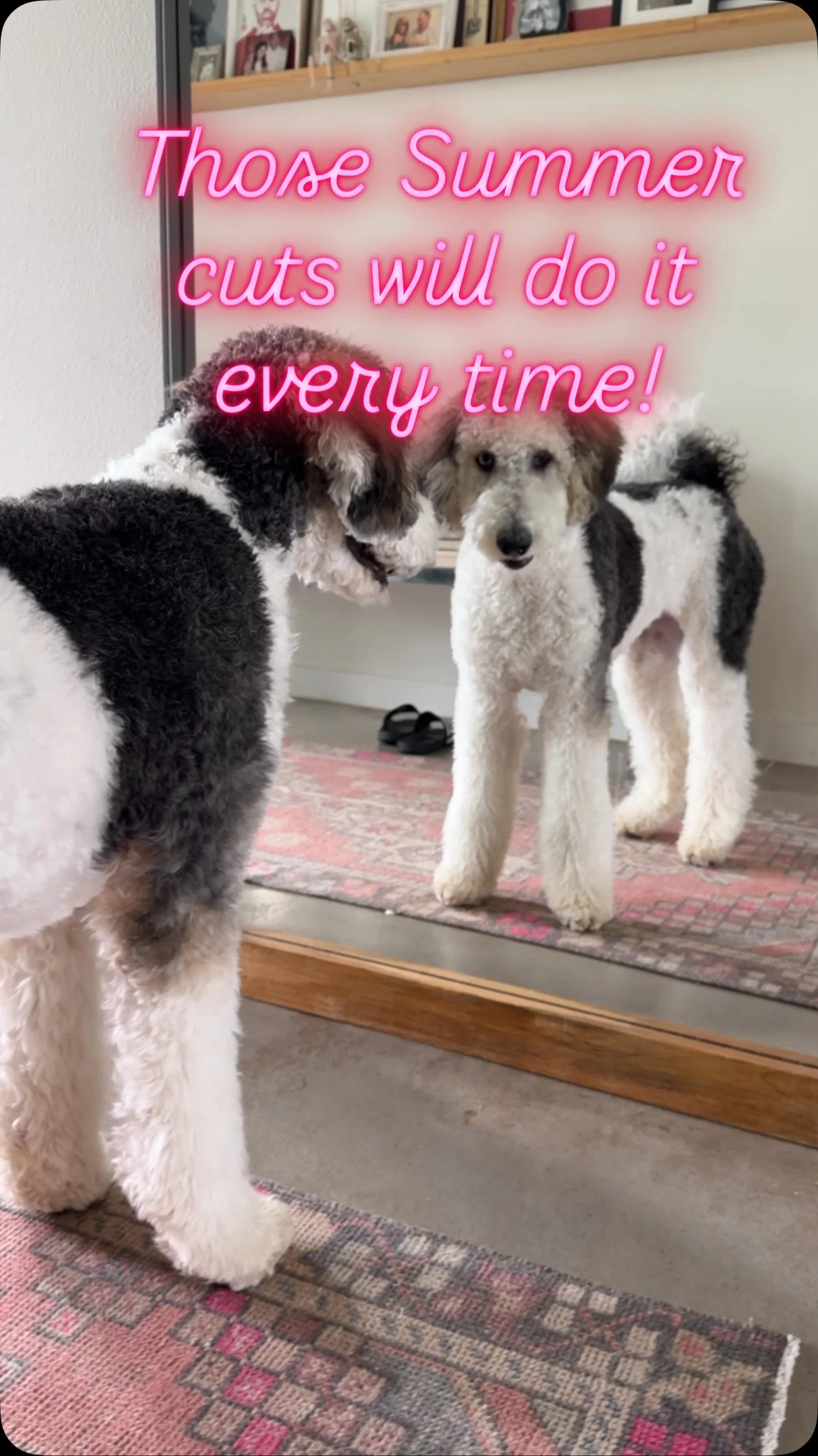 Instagram post: Isn’t Ever gorg with her new Summer cuts?!?! She loves her new friend! 😉🐶🩷#mirror #puppy #beachlife #money #diamonds